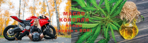 PSILOCYBIN Аркадак