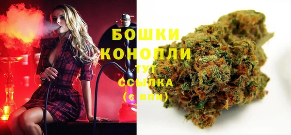 твердый Арсеньев