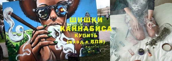 PSILOCYBIN Аркадак