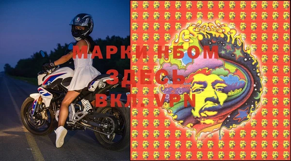 PSILOCYBIN Аркадак